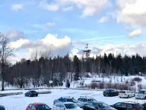 Młynica (Mill Hill) Observation Tower