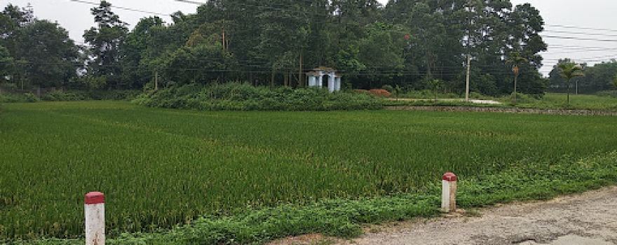 Đền Cây Vải