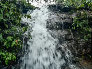 Mirante morro do luau
