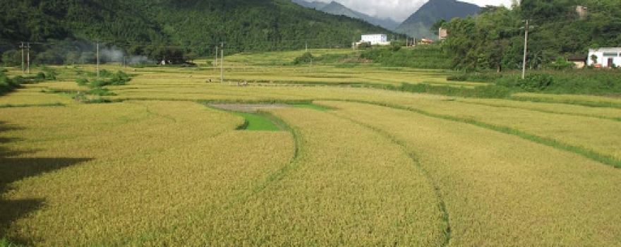Nhà Cộng Đồng Thôn Nà Ếch