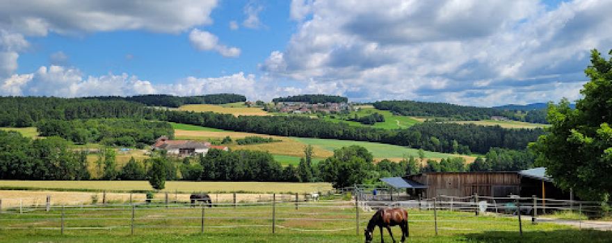 Reitclub Gallneukirchen