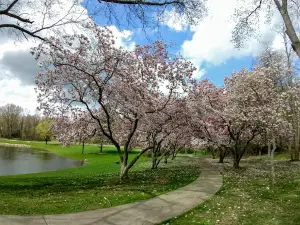 Memorial Park