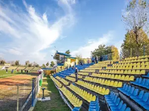 Stadionul Ion Comșa