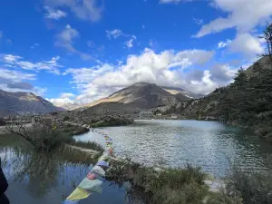 JOMSOM, MUSTANG