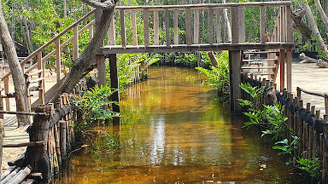 Reserva Ecológica El Corchito Parking/Entrance