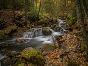 Lehigh Gorge State Park