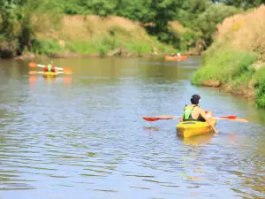 Canoeing Under the Forest
