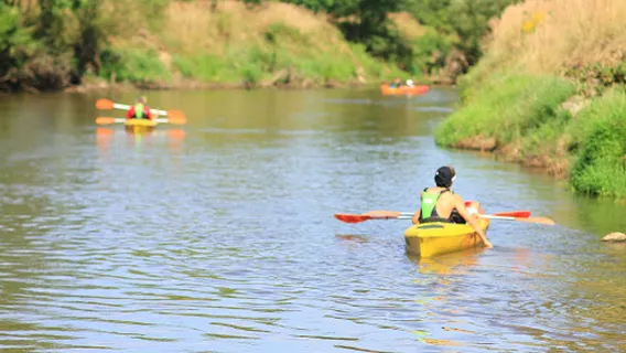 Canoeing Under the Forest