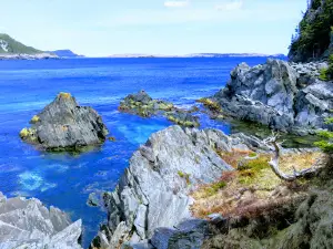 Berry Head Arch