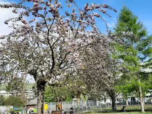 Jardin de ville de Voiron