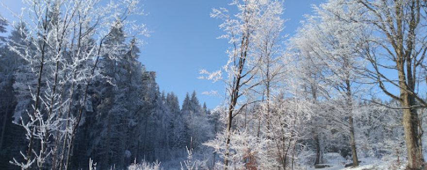 Rozhledna Bramberk
