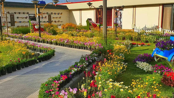 Najaf Amusements Park