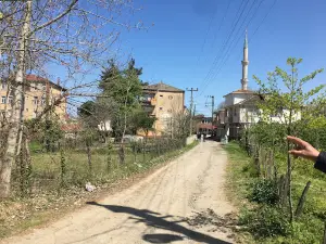 Sakarlı Halı Saha