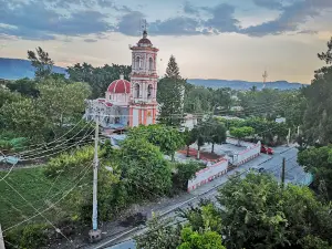 Palo Copado