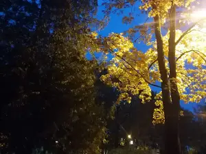 Raiņa parks