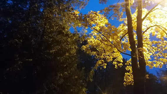 레제크네