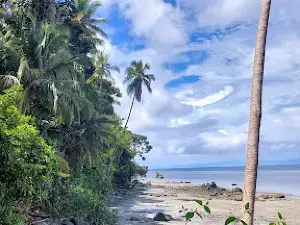 Natural Isla Gorgona National Park