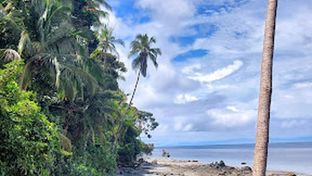 Natural Isla Gorgona National Park