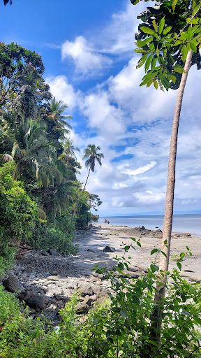 Natural Isla Gorgona National Park