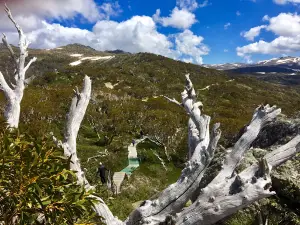 Mount Kosciuszko Summit walk (nr. Charlotte Pass)