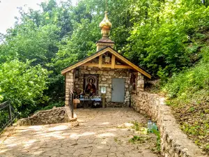Buzuluksky Bor National Park