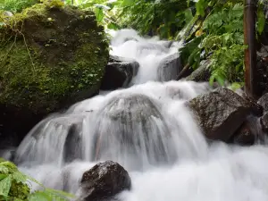 Ciputra Wangi Waterfall