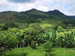 El Castillo Park