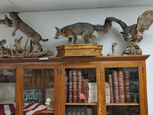 Barry County Museum