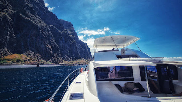 VipDolphins Catamaran Whale Watching