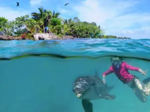 Roatan Institute for Marine Sciences