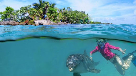 Roatan Institute for Marine Sciences