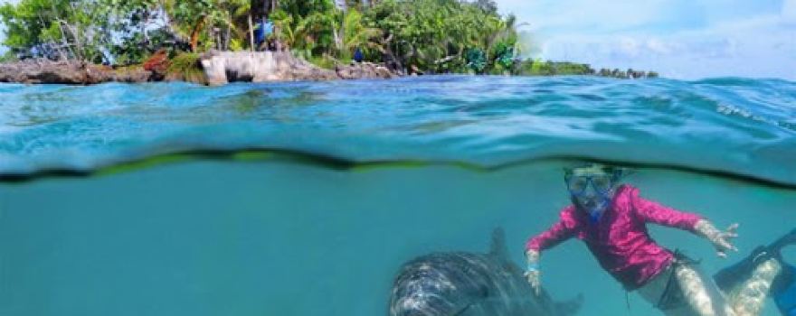Roatan Institute for Marine Sciences