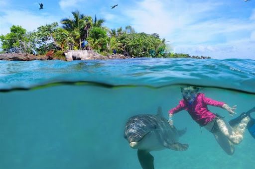 Roatan Institute for Marine Sciences