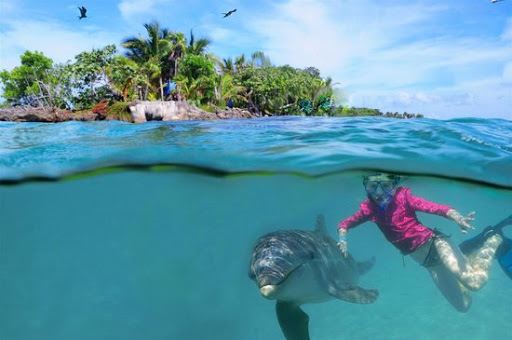Roatan Institute for Marine Sciences