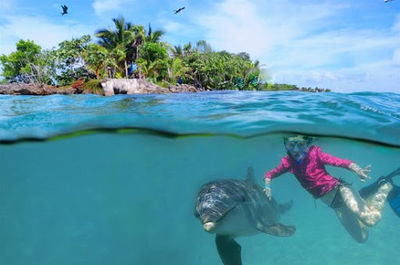 Roatan Institute for Marine Sciences