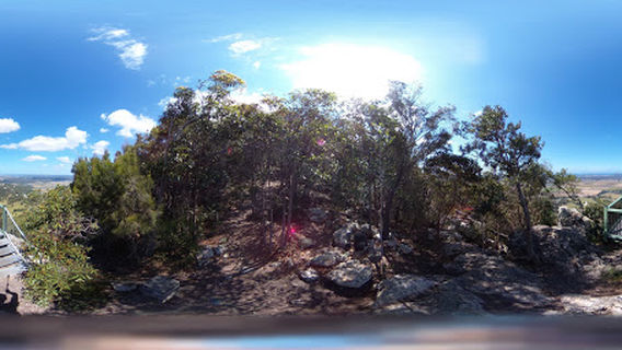 Mount Ninderry walking track