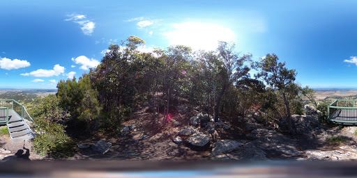 Mount Ninderry walking track