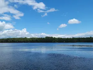 Butternut Lake