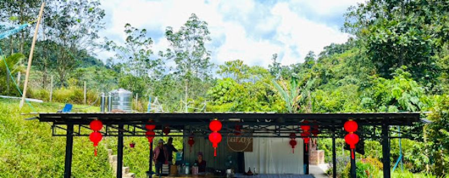 GLO Durian Farm