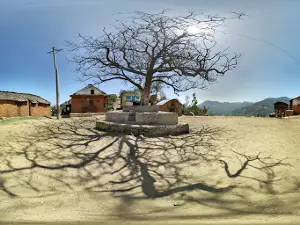 Shannikot Temple