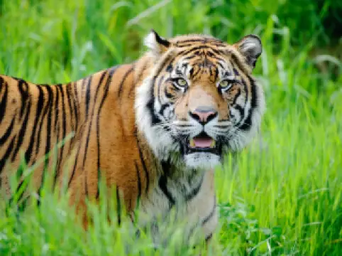 Point Defiance Zoo & Aquarium