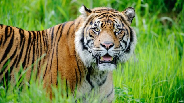 Point Defiance Zoo & Aquarium