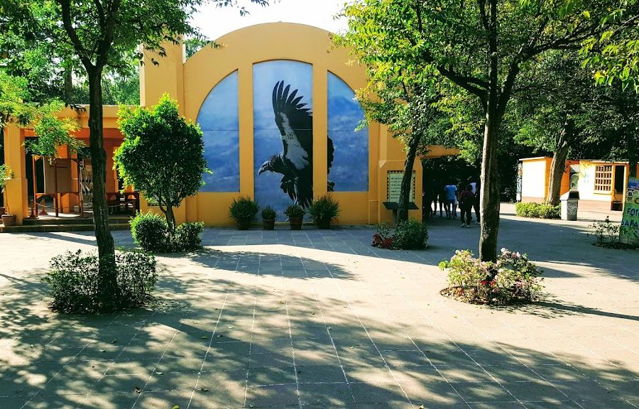 Chapultepec Zoo