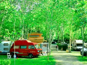 Camping El Pinajarro