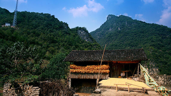 Piantoushan Forest Park