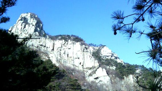 Yimengshan Xiaotiao Danshengdi