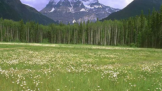 Xiayong Nature Reserve, Ganzi
