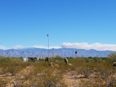 Purple Heart Park