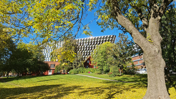 Karolinska Institute