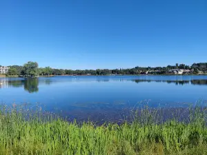 Cameron Park Lake